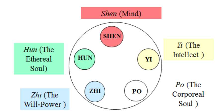 5 Shen-1.jpg